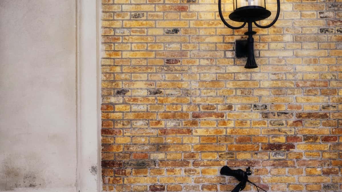 Чӣ тавр блогерҳои LinkedIn Тоҷикистон бо рекламадиҳандагони Ӯзбекистон ҳамкорӣ кунанд дар соли 2025