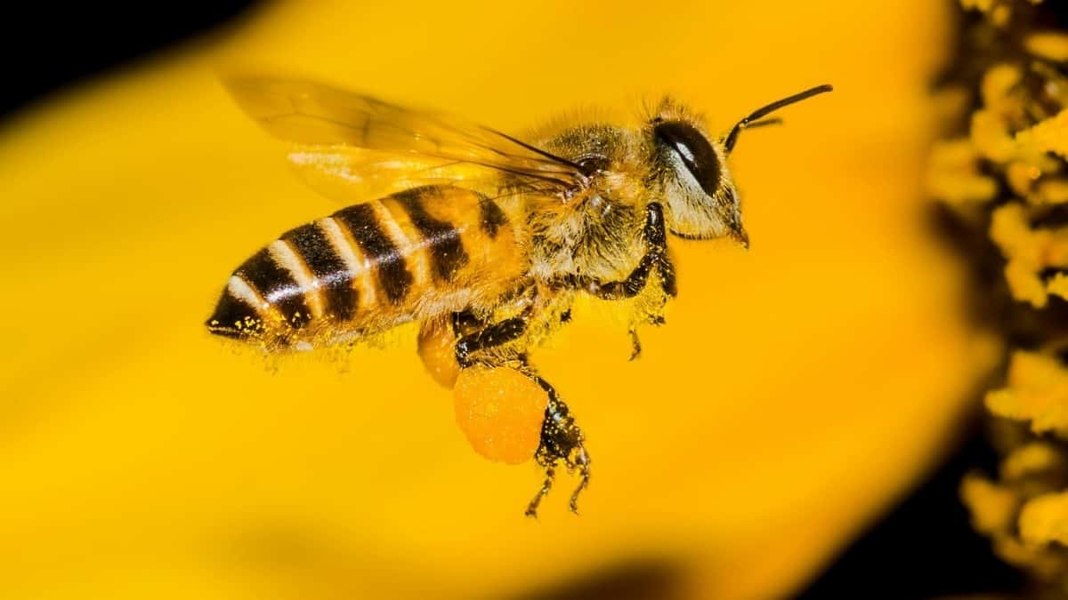 2025 Germany LinkedIn AllCategory Advertising Rate Card барои Tajikistan