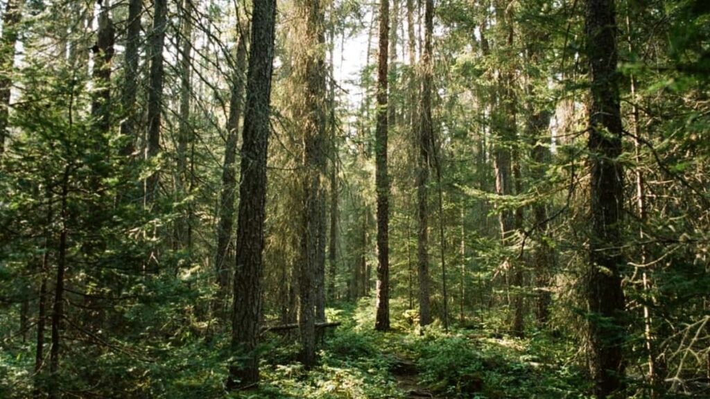 Нархи реклама дар Facebook дар Индонезия соли 2025 барои бозори Тоҷикистон