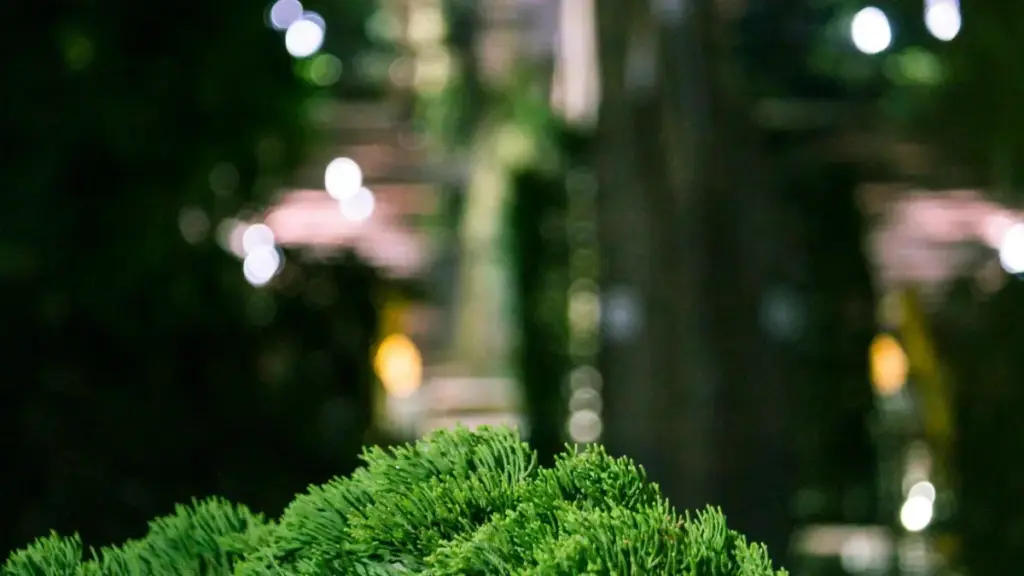 Қадам ба қадам барои рекламгарон дар Тоҷикистон: чӣ гуна дар Арабистони Саудӣ криэйторони SoundCloud-ро барои таблиғи маҳсулоти нигоҳубини пӯст ёфт ва ба кор гирифтан.