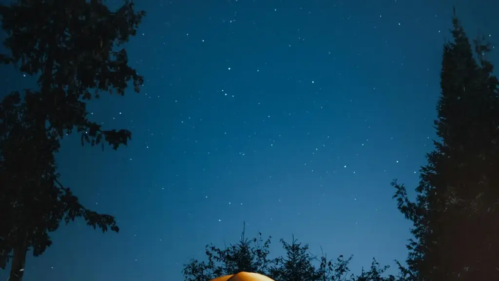 Роҳнамои амалӣ барои крейторҳои Тоҷикистон: чӣ тавр бо брендҳои Эфиопия дар Moj робита карда, видеоҳои wardrobe haul эҷод ва ҳамкорӣ намоед.