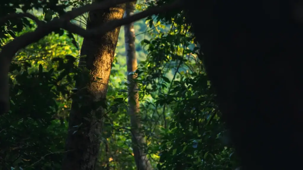 Роҳнамо барои креаторони Тоҷикистон — чӣ гуна бренди Исландро дар ShareChat пайдо ва мушоҳида карда, travel-guides эҷод кардан. Стратегия, timing ва мисолҳои амалӣ.