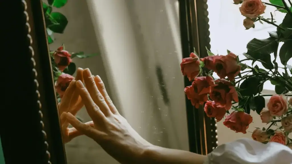 Роҳнамое барои креаторони Тоҷикистон: чӣ гуна ба брендҳои Туркия дар Viber муроҷиат кунад, ройгон ё бо пул барои пӯшонидани воқеа бо тегҳои спонсор.