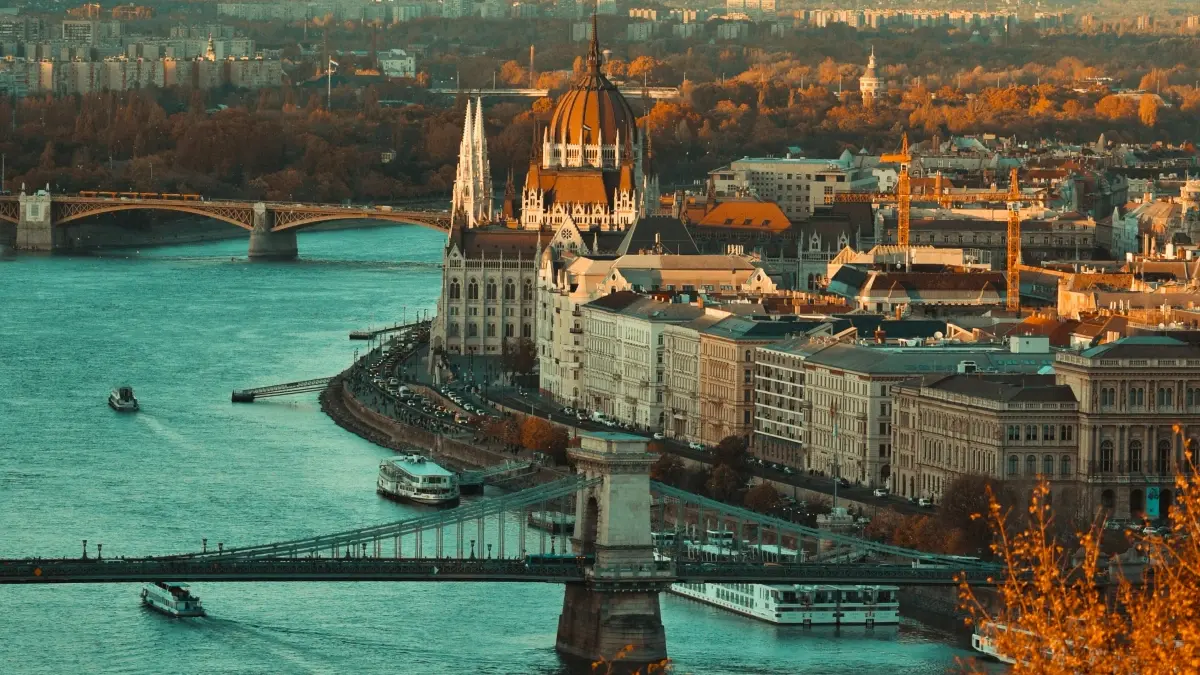 Брендҳои саломатӣ: креаторҳои Disney+ Алҷазоирро чӣ гуна ёфтан?