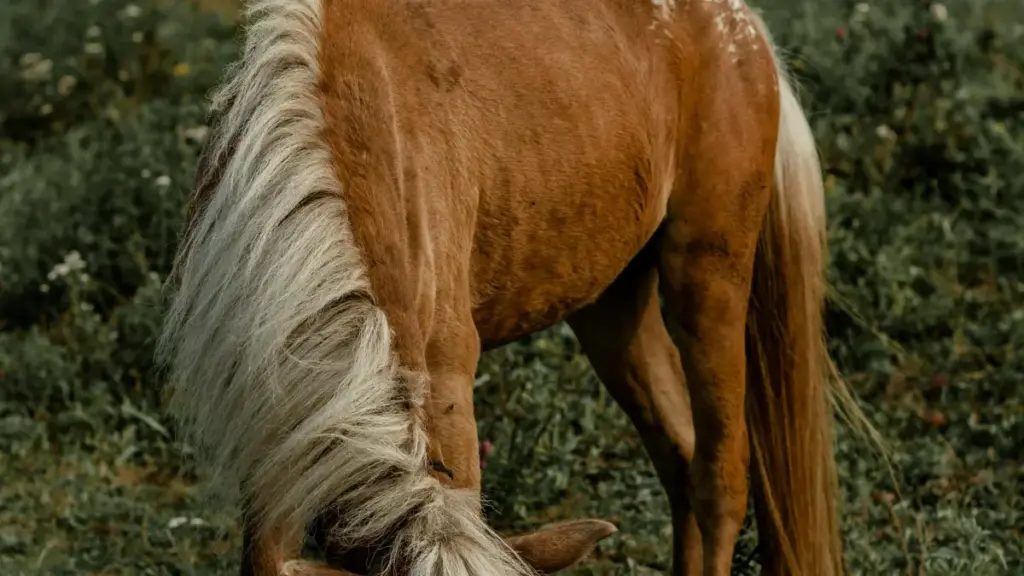 Қадам ба қадам барои брендҳои Тоҷикистон — чӣ гуна креаторҳои LinkedIn дар Нигерияро пайдо кардан ва санҷиши бозорро ба роҳ мондан.