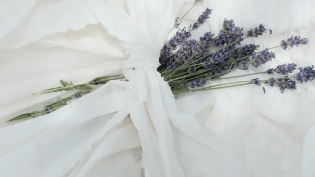 Кӯтоҳ ва корӣ: чӣ гуна дар Bilibili креаторҳои Қазоқистониро пайдо карда, ҳамкорӣ барои промо-сингл ташкил кунед — стратегияҳо, каналҳои ҷустуҷӯ, метрикҳо ва тартиби шартнома.