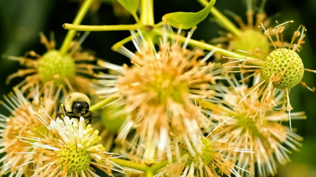 Қадамҳои амалӣ ва мисолҳо барои креаторони Тоҷикистон — чӣ гуна бо брендҳои Филиппин, ки дар Hulu реклама мебинанд, ҳамкорӣ карда, одатҳои солимро ба пайравон интиқол додан мумкин аст.