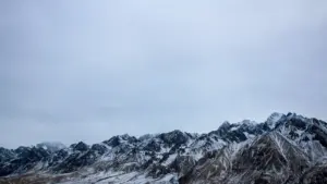 Қадам ба қадам: тарзи пайдо кардани брендҳои Алҷозоир дар Line, тарҳрезии пешниҳоди шарҳи тӯлони ва чӣ гуна сохтани робитаи мустаҳкам бо маркетинг ва дизайн-агентӣ.