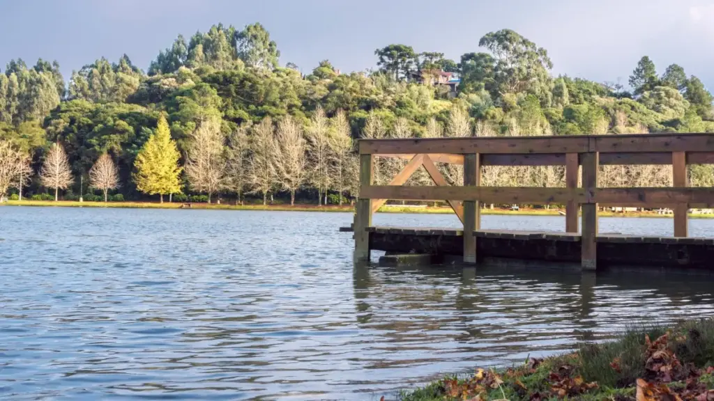 Роҳнамои амалӣ барои созандагон аз Тоҷикистон: чӣ гуна дар ShareChat ба брендҳои Ҳиндустон расидан, паёмро равшан нишон додан ва шартномаи аввалро ба даст овардан.