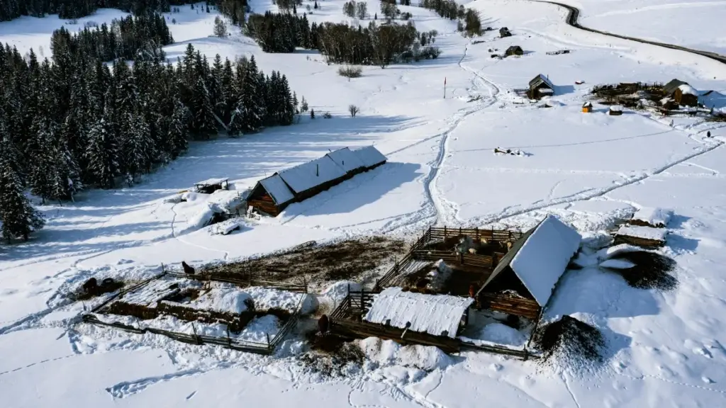 Роҳнамо барои таблиғкунандагон дар Тоҷикистон: қадамҳо, каналҳо ва чораҳо барои ёфтани созандагони Rumble дар Белгия барои кампанияҳои реаксия ба албом.