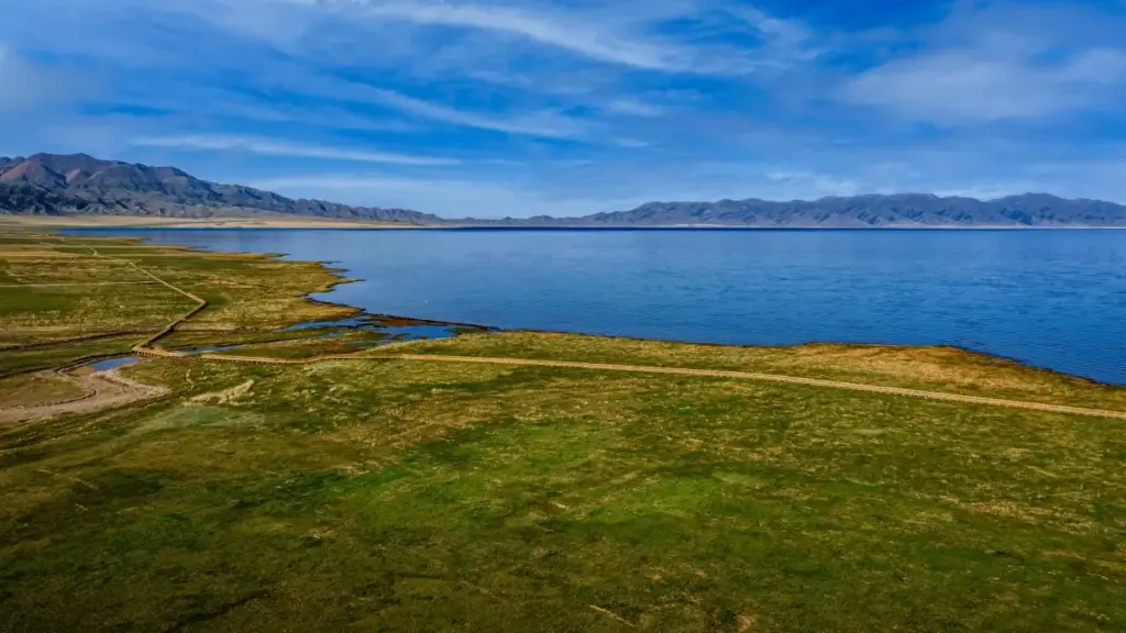 Қадам ба қадам барои рекламадиҳандагон дар Тоҷикистон: чӣ гуна креаторҳои Ҳинд дар Kuaishou ёбед, беҳтарин тактикаҳо барои ҳамкорӣ дар челенҷҳои рақсӣ ва чӣ интизор шудан лозим.