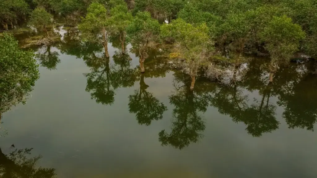 Роҳнамое барои рекламадиҳандагон дар Тоҷикистон: чи гуна LinkedIn-криэйторҳои Зеландияи Навро барои кампейни филиялӣ пайдо, баҳогузорӣ ва ҳамкорӣ кардан.