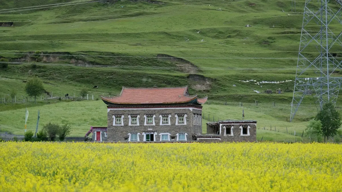 Роҳнамa: ёфтани TikTok-креаторони Пуэрто-Рико барои UGC
