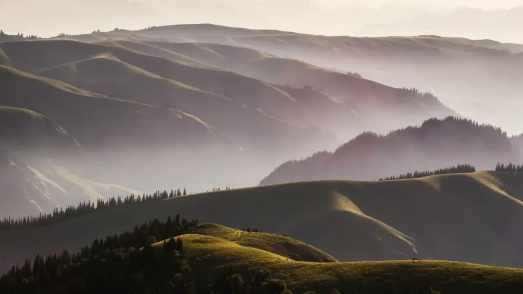 Роҳнамо барои креаторҳои Тоҷикистон: чӣ тавр ба брендҳои Покистон дар vkontakte муроҷиат кунед, шартҳои ҳамкорӣ бигиред ва шарҳи тӯлонии маҳсулот нависед.