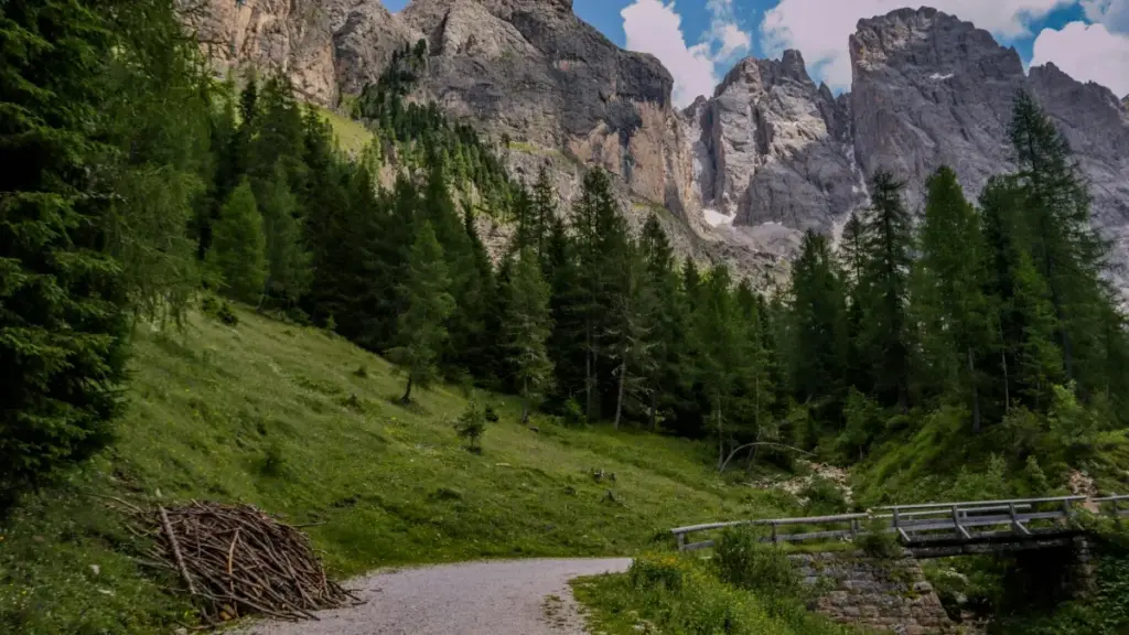 Роҳнамои амалӣ барои рекламодорон дар Тоҷикистон: чӣ тавр дар Боливия Twitter-криэйторҳоро пайдо, санҷида ва бо онҳо фурӯшҳои мавсимиро ба роҳ мондан — бо мисолҳо ва воситаҳои воқеӣ.