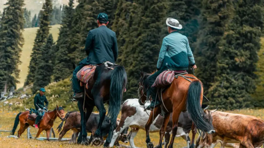Роҳнамои амалӣ барои рекламадорон дар Тоҷикистон: чӣ гуна криэйторҳои Юнон дар WhatsApp ёфт, баҳогузорӣ карда, ва барои кампанияи муштарак фармоиш дод.