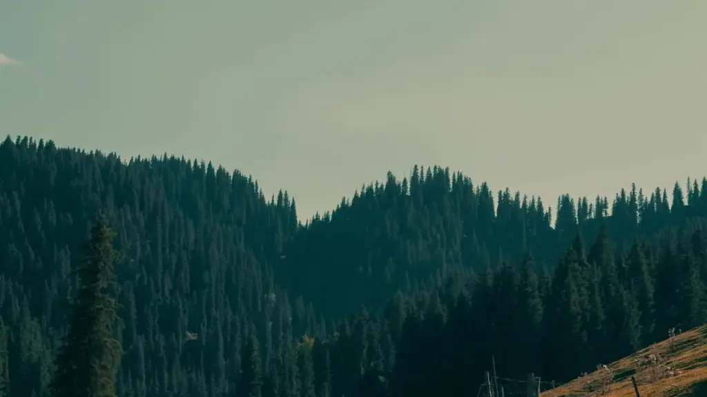 Қадам ба қадам барои кашф, муошират ва ҳамкорӣ бо созандагони Etsy-и Исландия барои баланд кардани огаҳӣ ба ланси нави косметика дар Тоҷикистон.