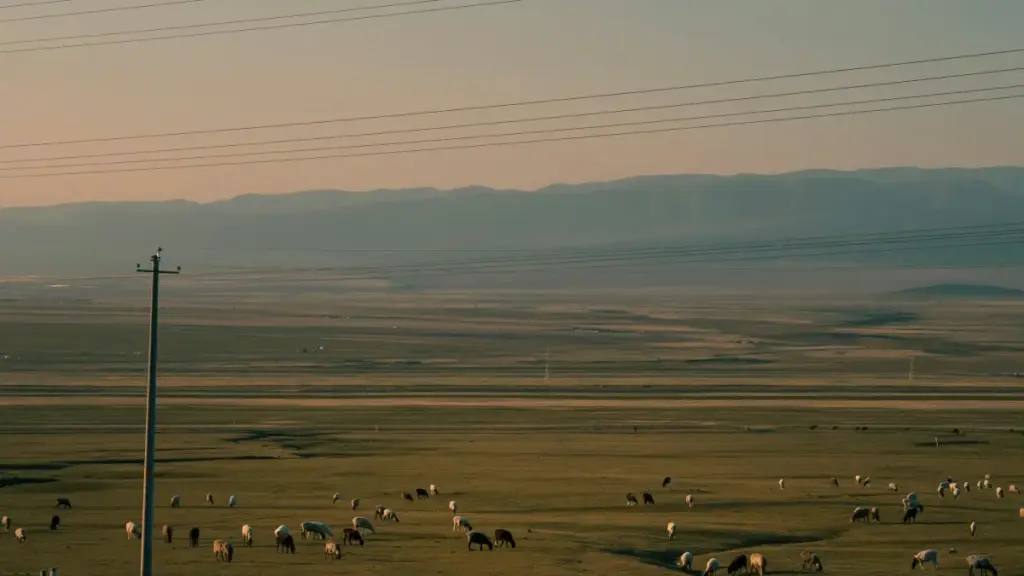 Қадам ба қадам барои креаторҳои тоҷик: чӣ тавр ба брендҳои Лубнон дар Etsy муроҷиат кунед, шартҳоро фаҳмед ва ба барномаи brand ambassador шомил шавед.