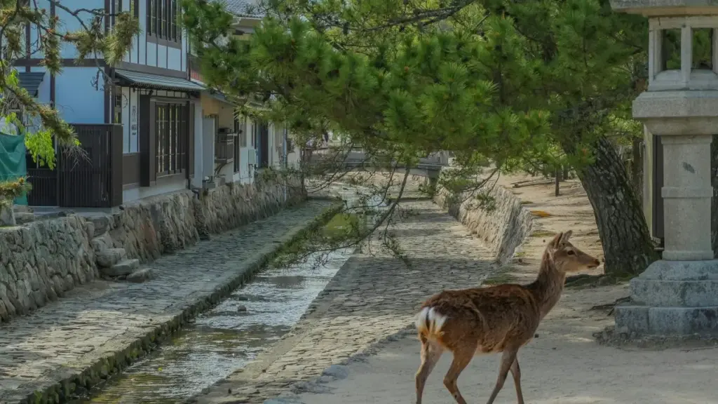 Қадам ба қадам барои креаторони тоҷик: чӣ гуна бо брендҳои Малайзия дар YouTube тамос гиред, PR-пакет гиред ва бидуни драмо ҳамкорӣ созед.