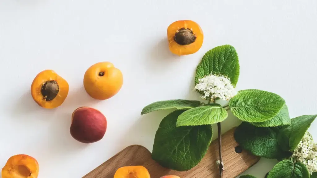 Роҳнамои амалӣ барои креаторҳои Тоҷикистон: чӣ гуна брендҳои Африкаи Ҷанубиро дар Josh барои мубодилаи кодҳои тахфифии маҳдудангешта дастрас кардан ва музди кор гирифтани онҳо.