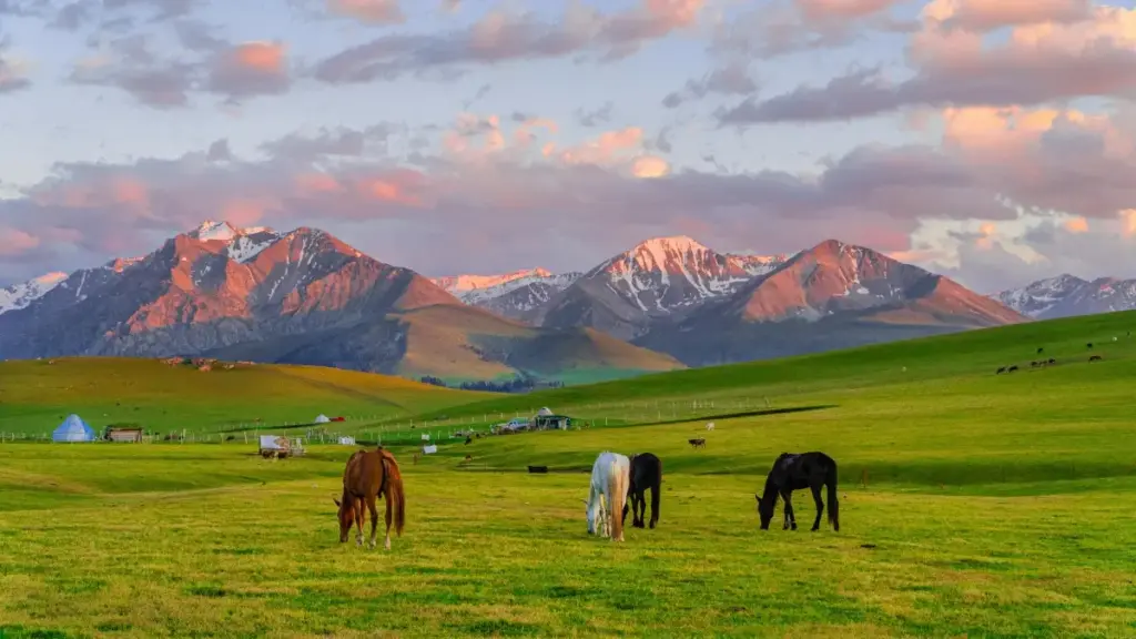 Роҳнамо барои созандагони Тоҷикистон: стратегияҳо, шаблонҳои мукаммал ва ҳиллаҳо барои расидан ба брендҳои Танзания дар Hulu ва гирифтани шарҳи таҷҳизоти фитнес.