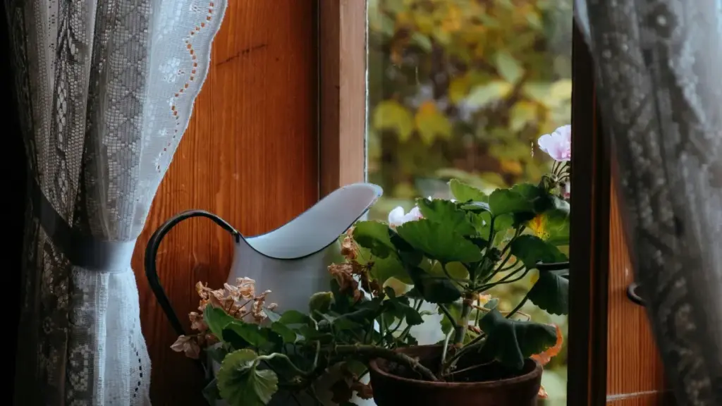 Қадам ба қадам — чӣ тавр бо брендҳои Тунис дар eBay тамос гирифт, пешниҳодҳои UGC гирифт ва пул кор кард. Маслиҳатҳои маҳаллӣ, тактикаи outreach ва мисолҳои воқеӣ барои эҷодгарони Тоҷикистон.